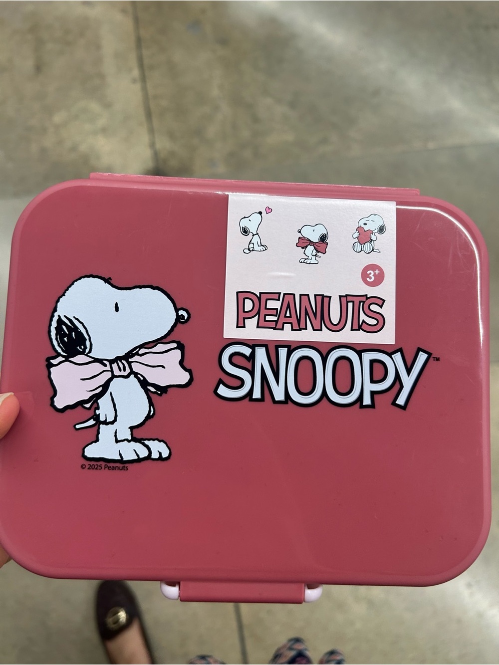 Peanuts Snoopy Roses Pink Bento Box